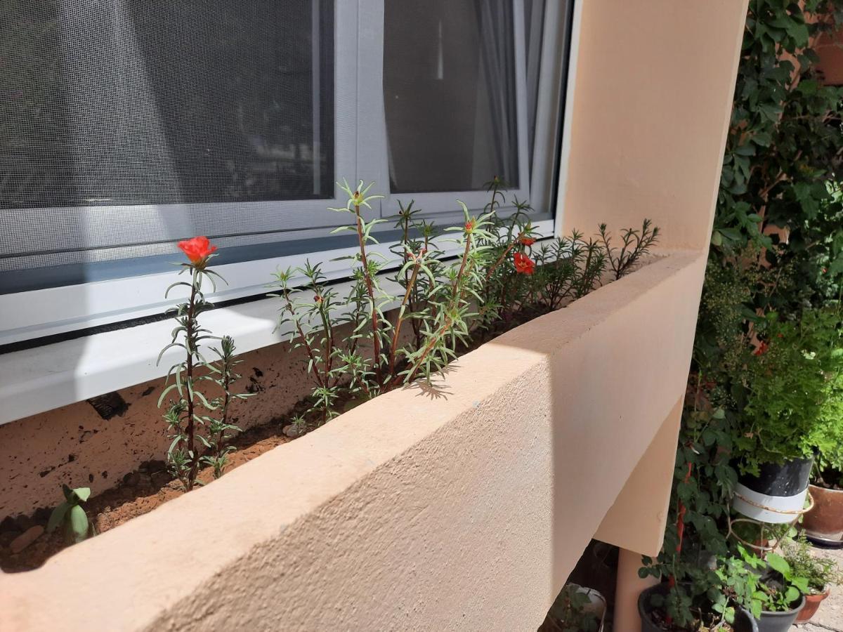 Montenegro Sea Pearl Apartments Petrovac Exterior photo